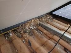 施工に移っていきます。
まずは太陽光パネルを脱着し、汚れを綺麗に清掃していきます。