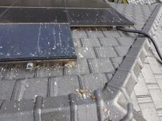 屋根の上にも大量の鳩糞が堆積しています。
太陽光パネルに鳩が住み着くことで鳴き声や羽ばたく音が騒音となり、安心して暮らすこともままならなくなるケースもあります。