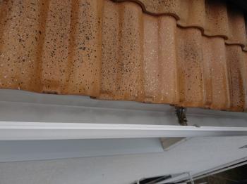 草が生え鳩の糞が堆積していた雨樋も丁寧に清掃を行っております。
鳩の飛来も減り、清潔な屋根に生まれ変わりました。