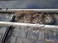 次に屋根の清掃に移っていくため太陽光パネルを取り外すと、鳩の巣や糞が大量に堆積していました。
