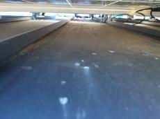 巣と合わせて鳩の糞など太陽光パネル下の清掃を進めていきます。