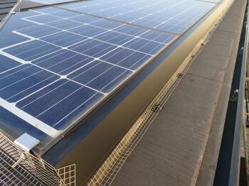 こちらは東面･軒側の施工後お写真です。
ステンレス網を設置したことで鳩などの侵入経路をふさいでいますので、巣を作られることもなくなることでしょう。