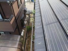 雨樋は鳩の糞が目一杯詰まっており、草も生えてしまっていました。