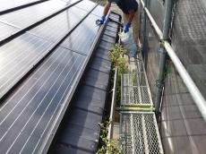 施工に移っていきます。
最初に雨樋の中にある糞を清掃していきます。