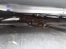 太陽光パネルの下にもかなりの量の糞が堆積しているようです。