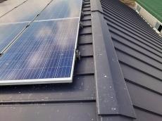 太陽光パネルの下に住み着いた鳩も侵入防止のステンレス網を設置して解決。