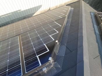 鳩糞に悩まされることがなくなるため、屋根全体を清潔に維持できます。
太陽光パネルも安心してお使いいただくことができますね。

太陽光パネル下側にステンレス網を設置し、鳩の侵入をしっかり防止しています。見た目もスッキリとしており、美観を損なわない仕上がりです。