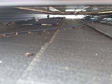 一方で太陽光パネル下には鳩の糞が確認できます。