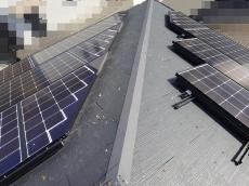 鳩が飛来しすることで屋根上には鳩の糞が多量に落ちていました。