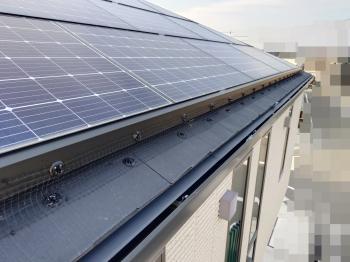 こちらが施工後のS様邸屋根のお写真です。
太陽光パネルの四方を樹脂製ネットで囲うことで、鳩が侵入できなくなりました。