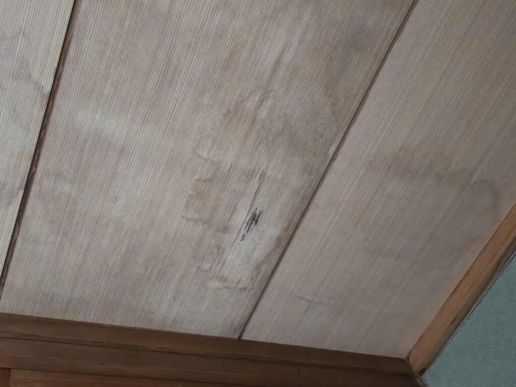 雨漏りによって天井にシミがありました。